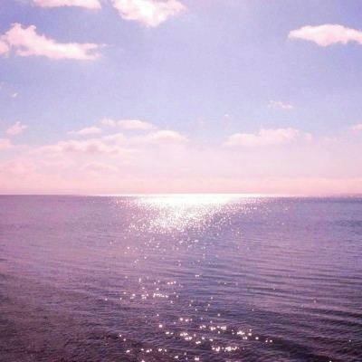 海贼新纪元手游下载
